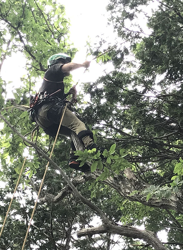 イベント Outdoor Shop K アウトドアショップk ワーキング館