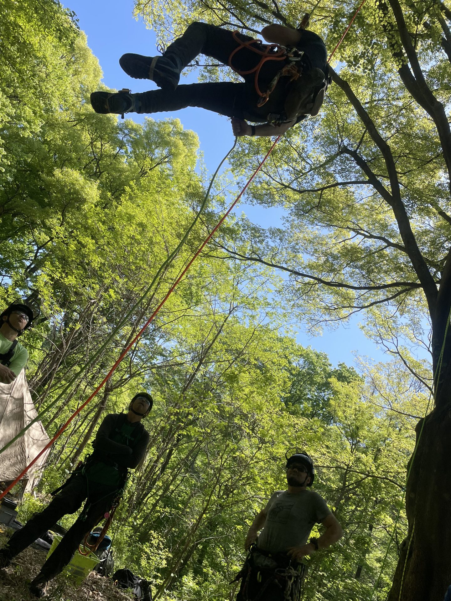 イベント Outdoor Shop K アウトドアショップk ワーキング館